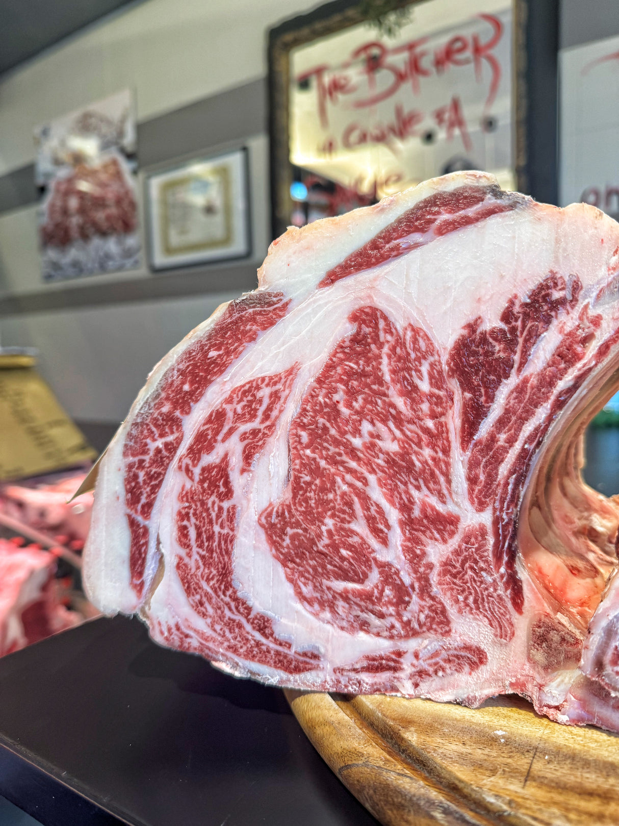 Costata Hokori Italia