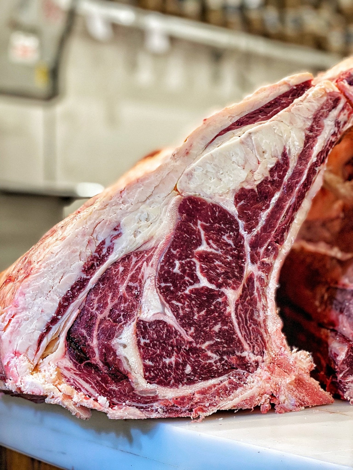 Costata Ross-Meat Italia