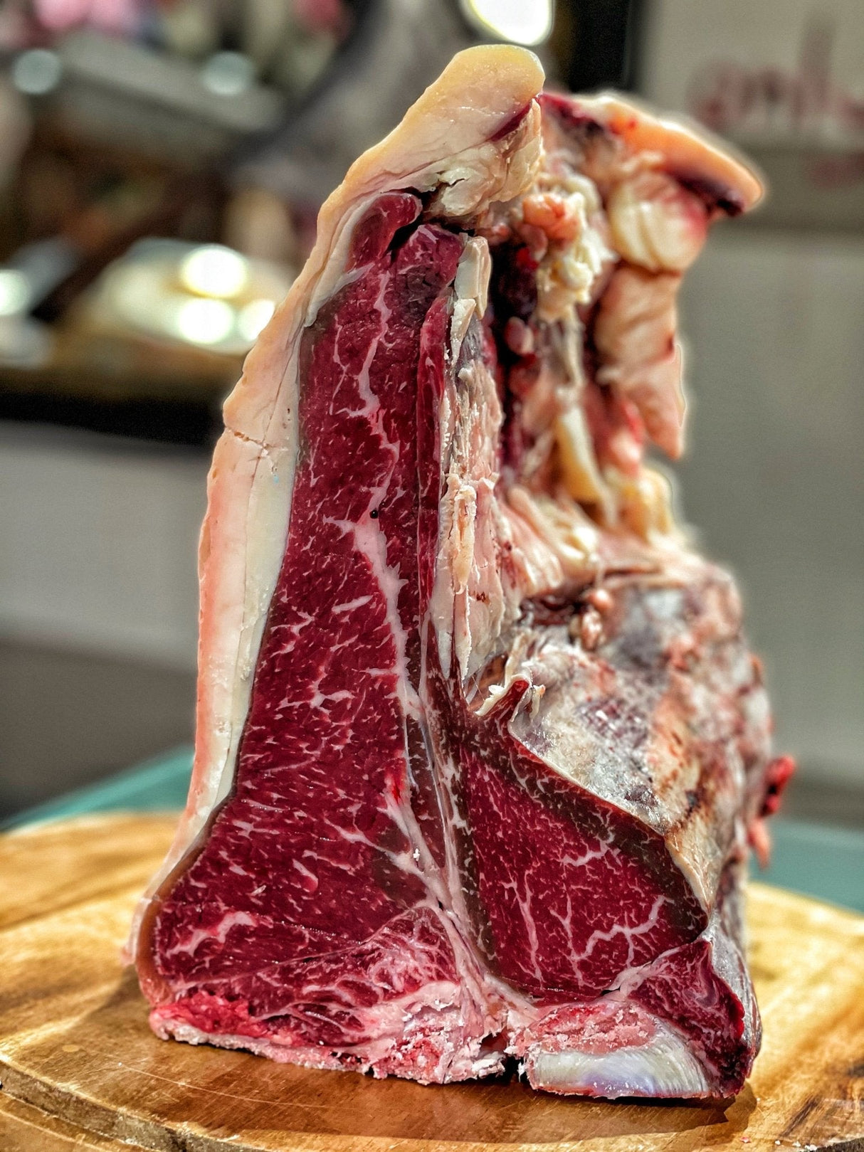 Fiorentina Bruna Alpina Italia