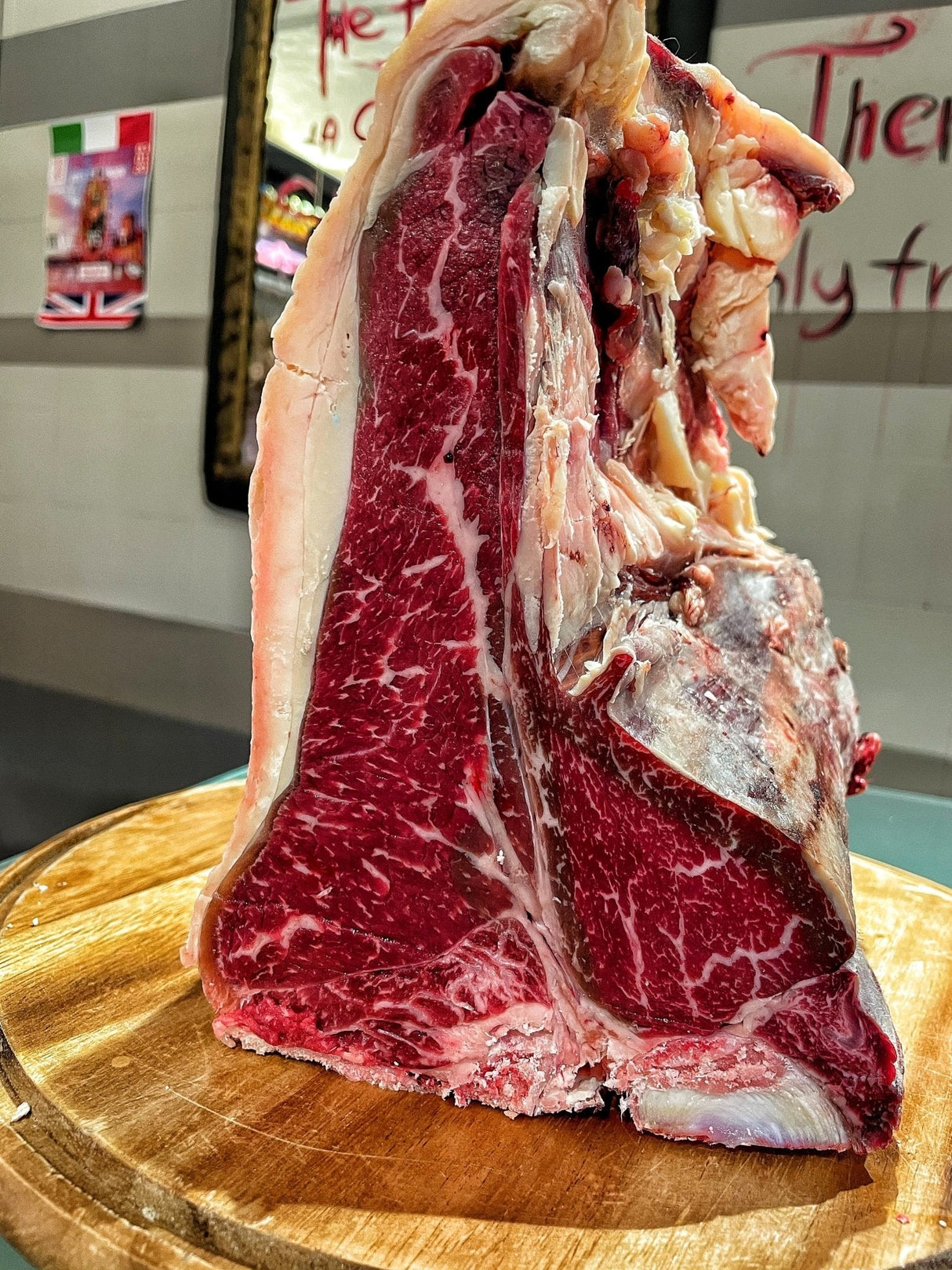 Fiorentina Bruna Alpina Italia