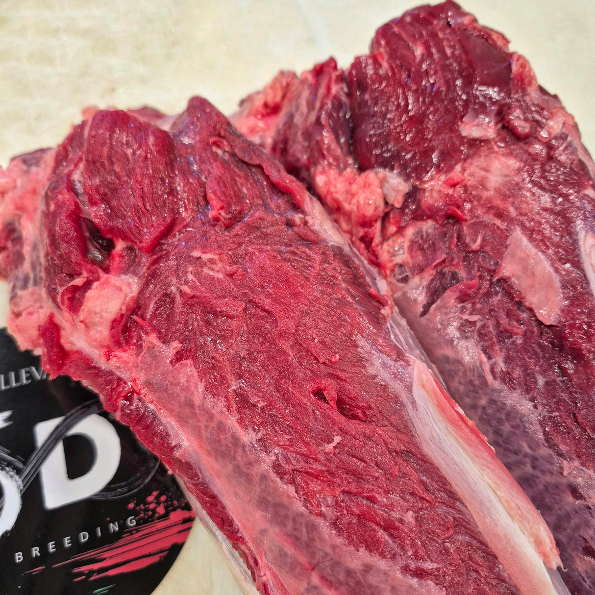 Fusello di spalla 5D