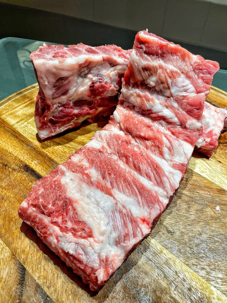 RIBS