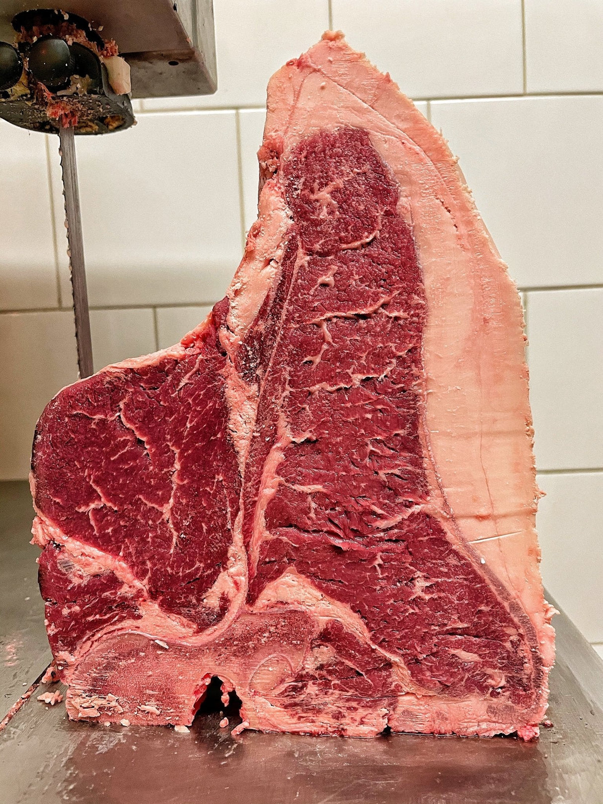 Fiorentina Black Angus Australia